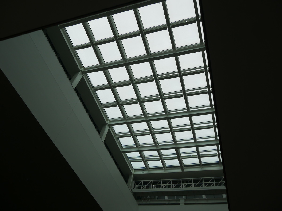 天井部から太陽光を取り入れることができる