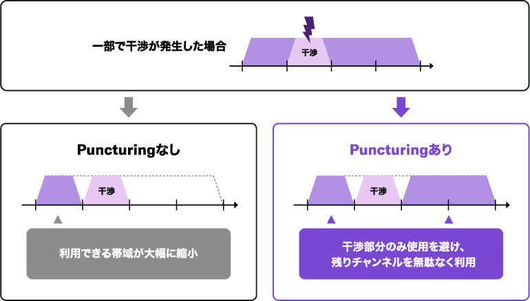 Preamble Puncturing