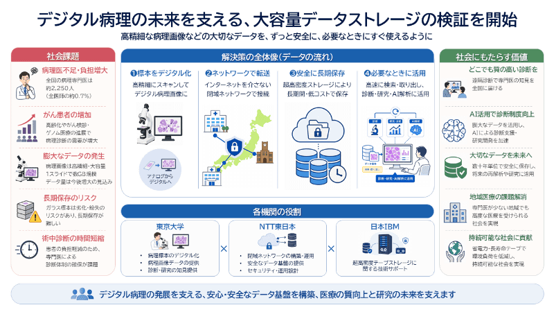 検証の取り組み概要図