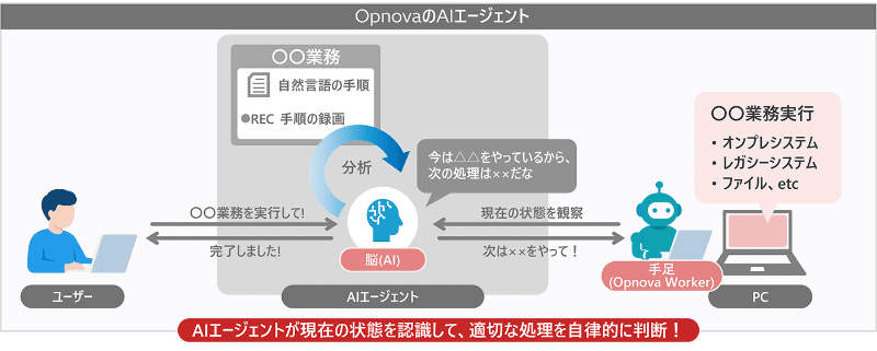 「Opnova」の活用イメージ