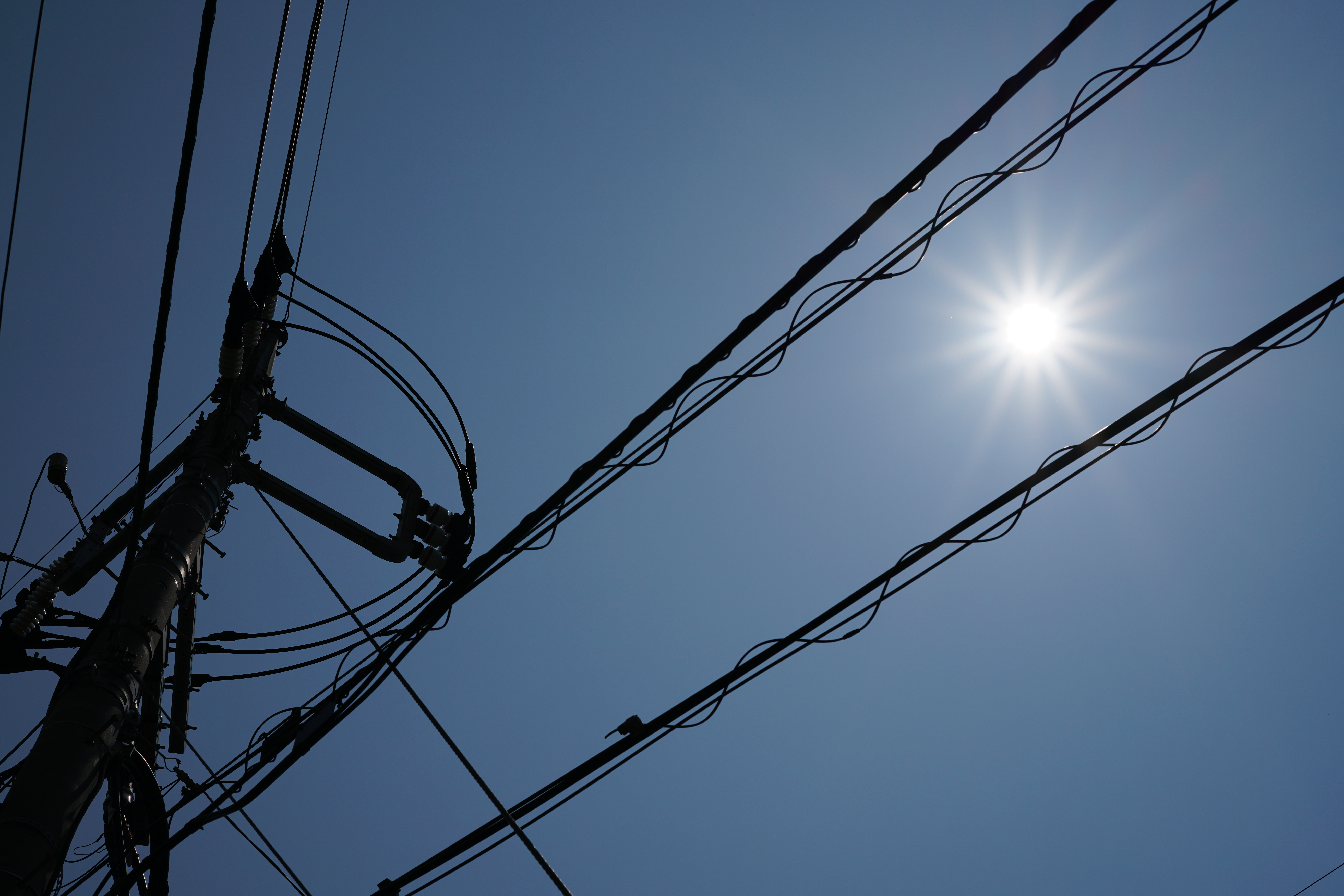 α7R II / 1/1,600秒 / F11 / -1.3EV / ISO100 / 絞り優先AE / 50mm