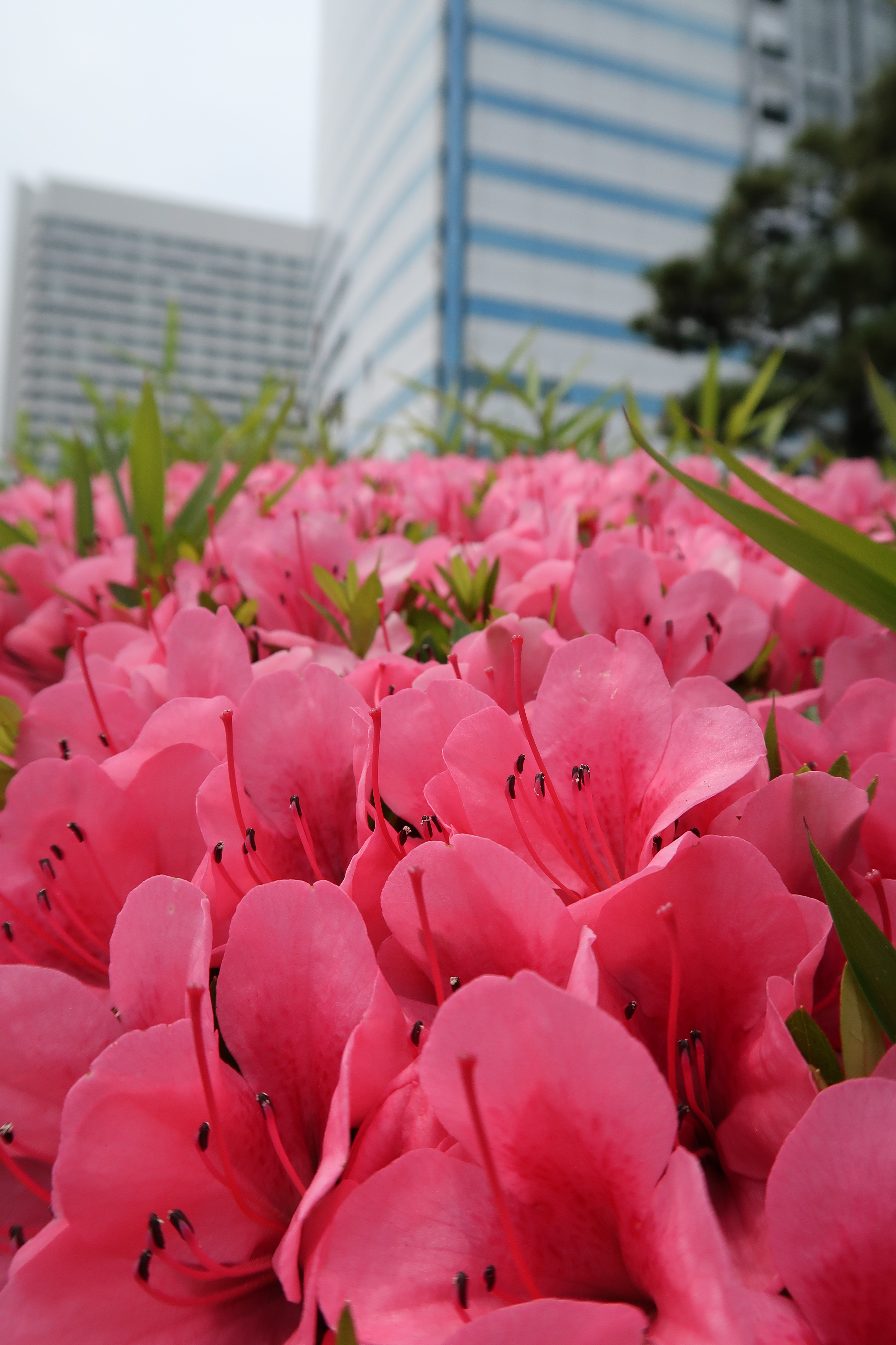 ISO125 / F5.6 / 1/1,000秒 / 8.8mm