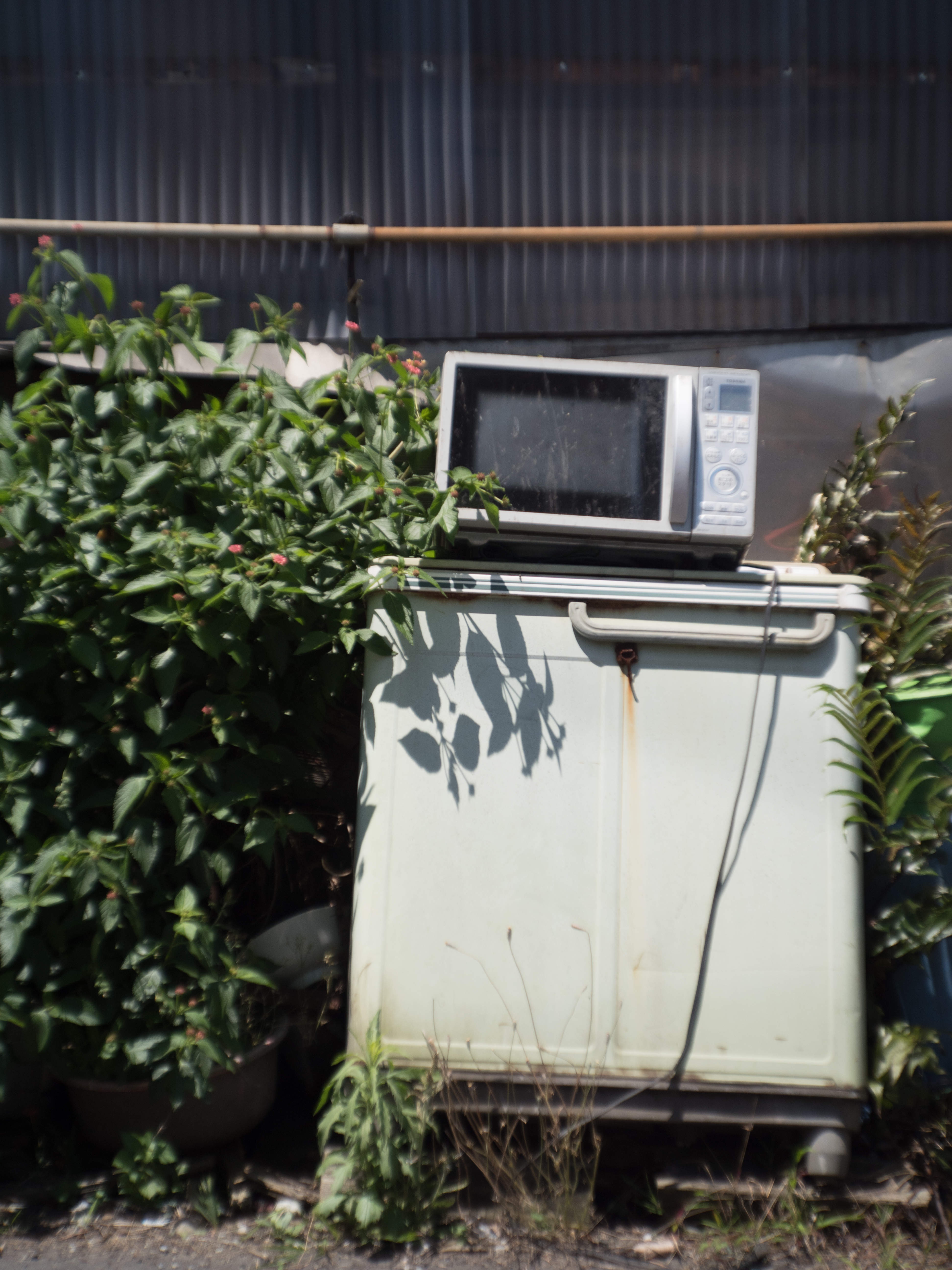 PEN-F / LC-A Minitar-1 Art Lens 2.8/32 M / 1/2,500秒 / F2.8 / ±0EV / ISO200 / WB:オート