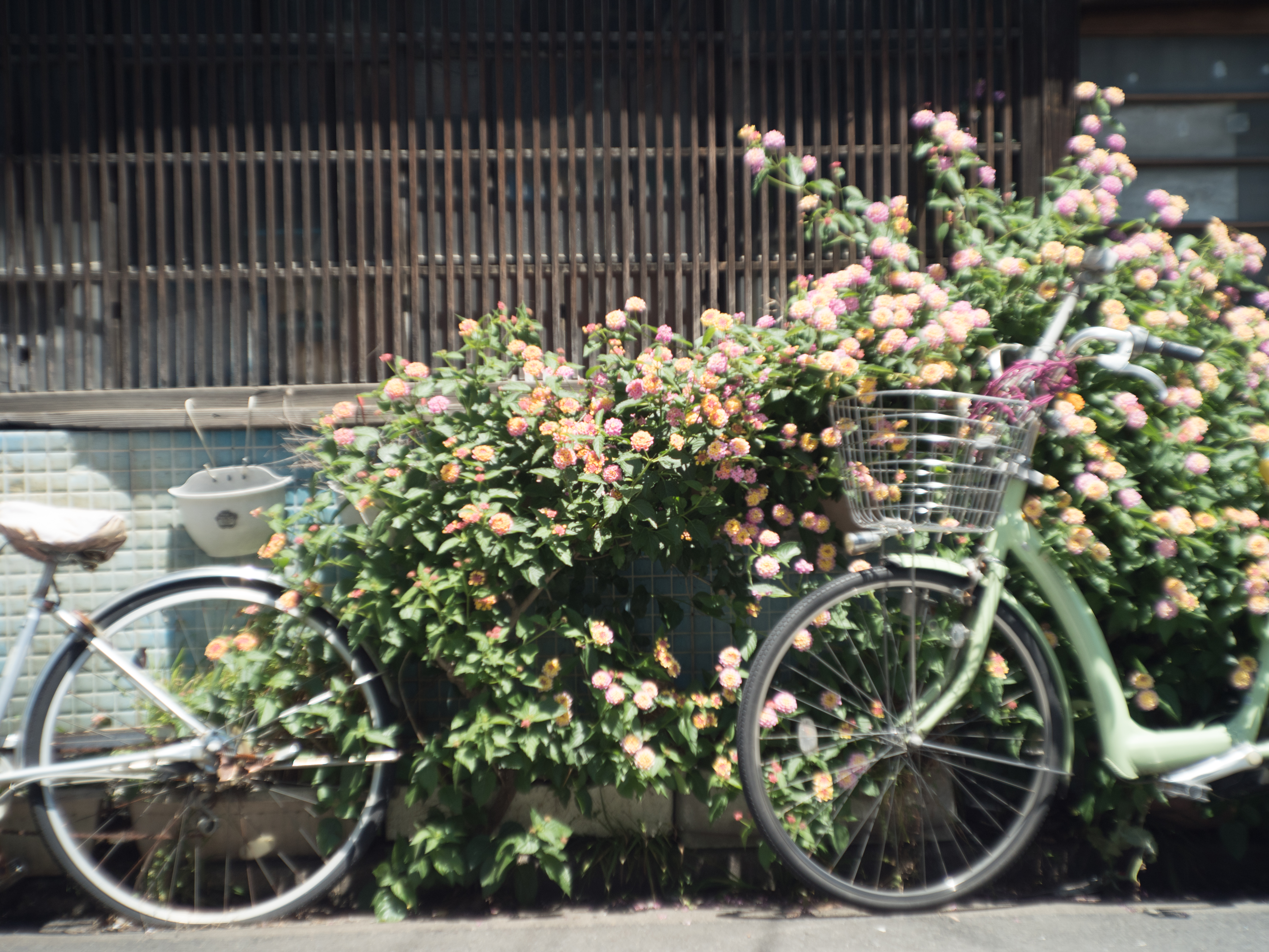 PEN-F / LC-A Minitar-1 Art Lens 2.8/32 M / 1/1,000秒 / F2.8 / ±0EV / ISO200 / WB:オート