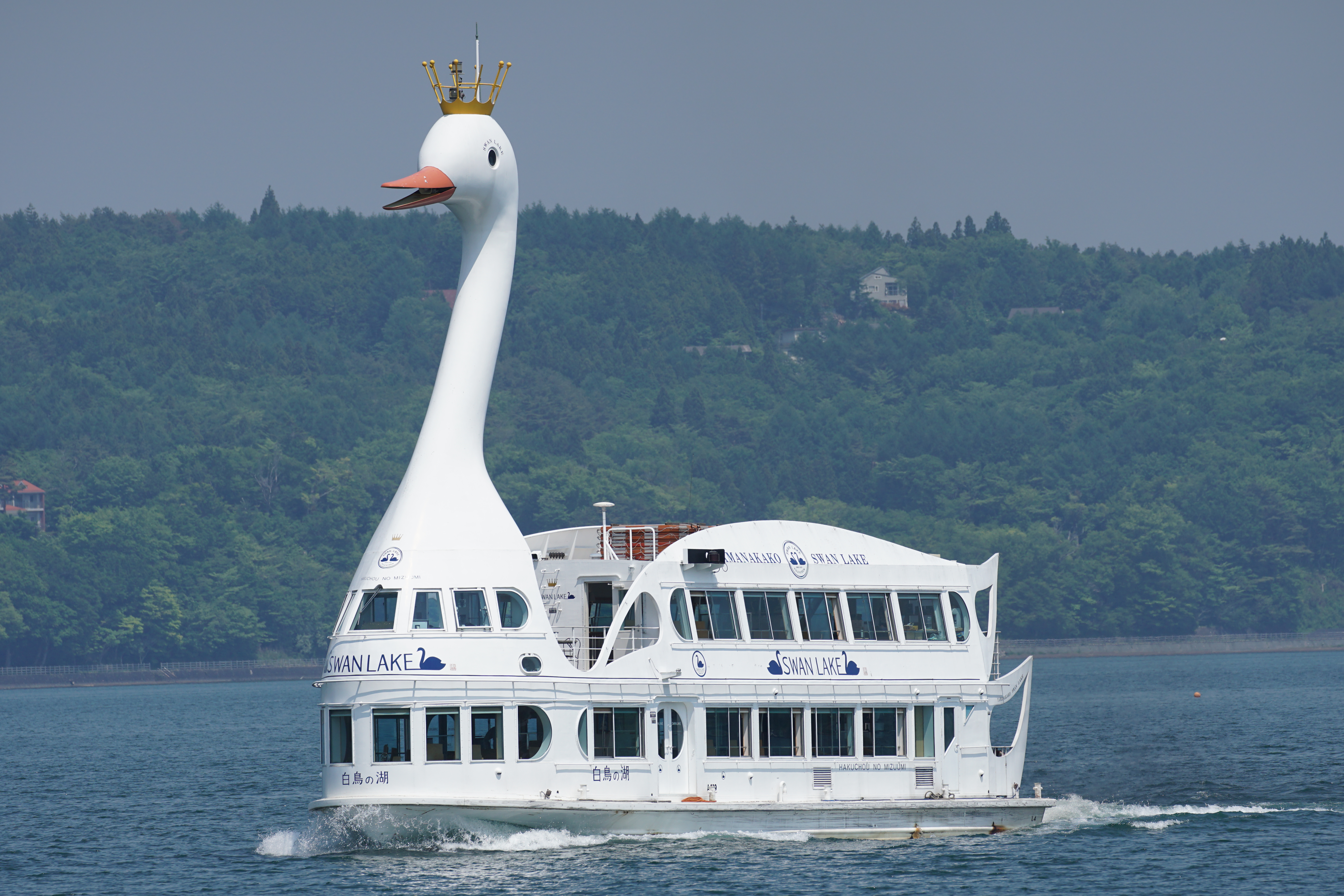 α6300 / 1/1,250秒 / F7 / ISO200 / マニュアル / 286mm / 撮影場所：山中湖湖畔