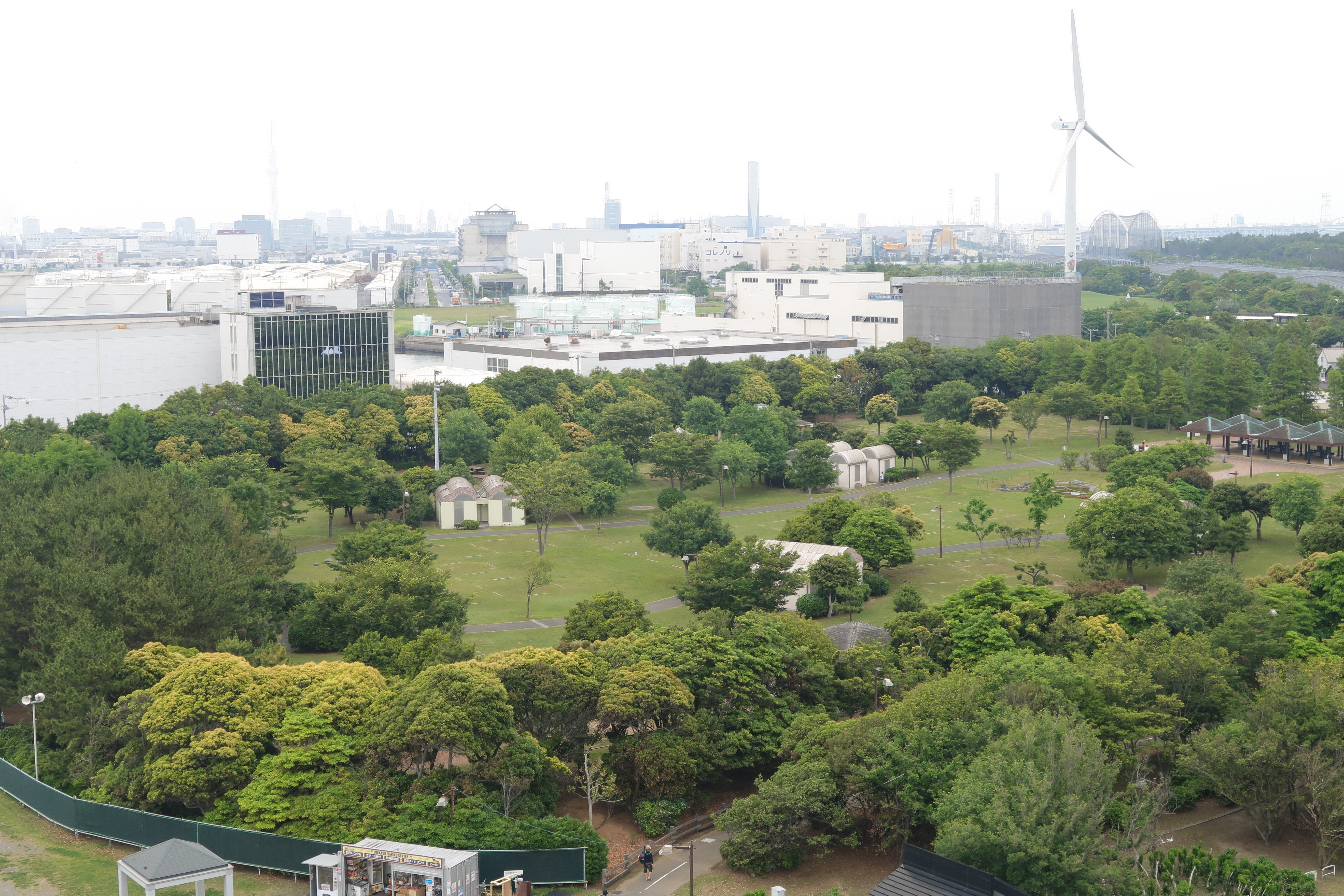 PowerShot G7 X Mark II / 絞り優先AE / 1/25秒 / F5.6 / ±0EV / ISO125 / 19.66mm