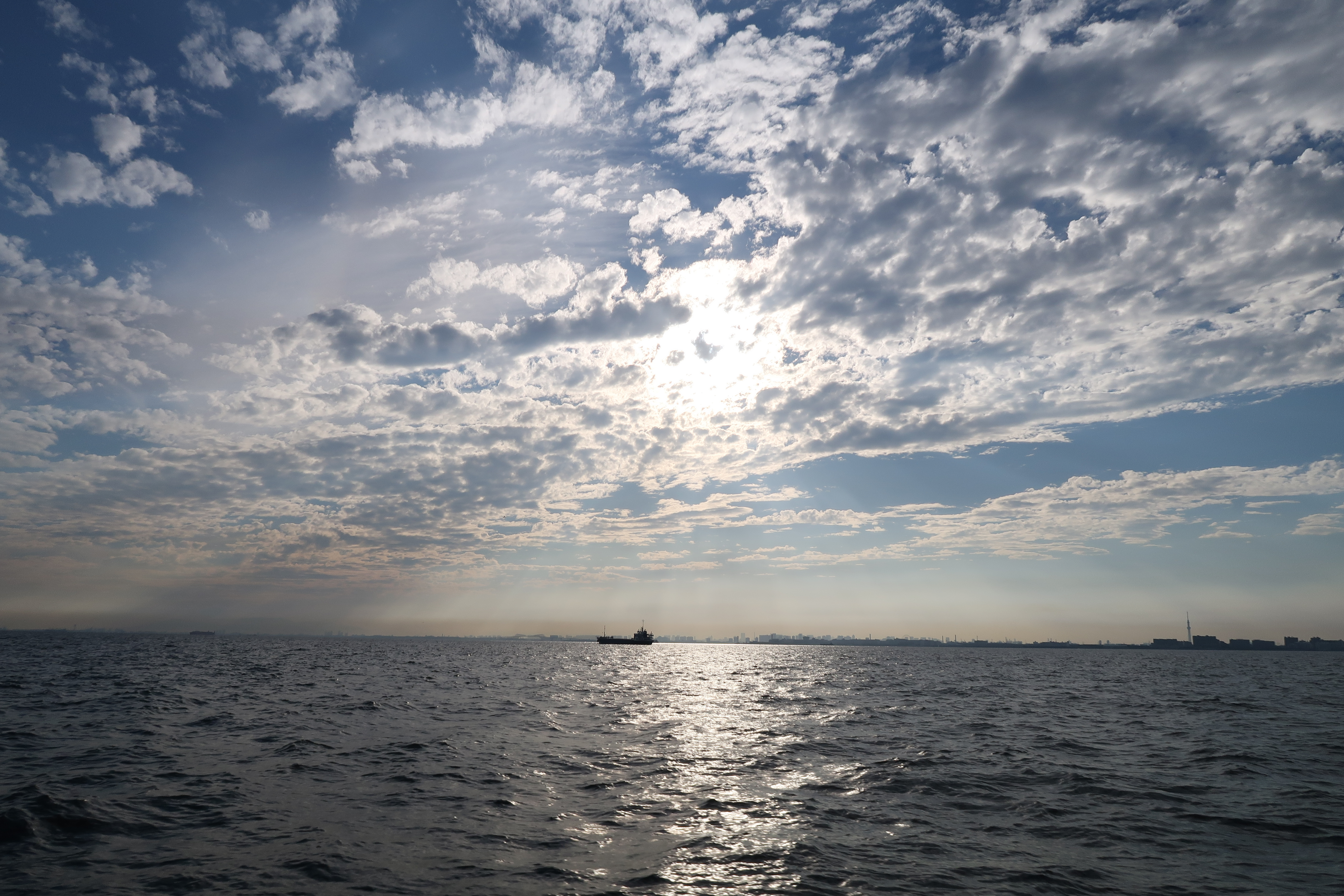 PowerShot G7 X Mark II / 絞り優先AE / 1/500秒 / F5.6 / ±0EV / ISO160 / 8.8mm