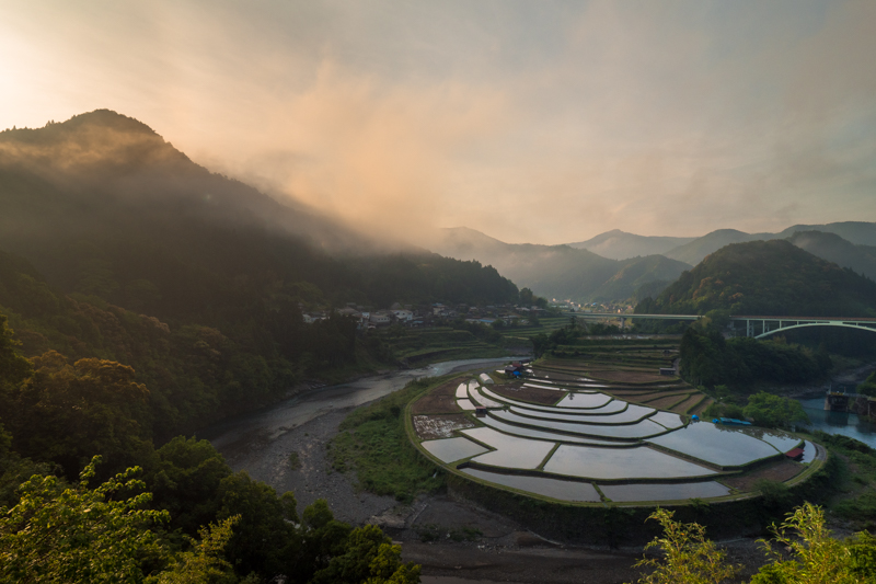 陸続きでありながら、孤島のように見える美しい棚田。日が昇ると同時に朝霧が立ち込めて山間から太陽の光が差した。このあとすべてが黄金色に包まれていく。<br><span class="fnt-85">オリンパス PEN-F / M.ZUIKO DIGITAL ED 7-14mm F2.8 PRO / 9mm（18mm相当） / マニュアル露出（F8、1/500秒） / ISO 200</span>
