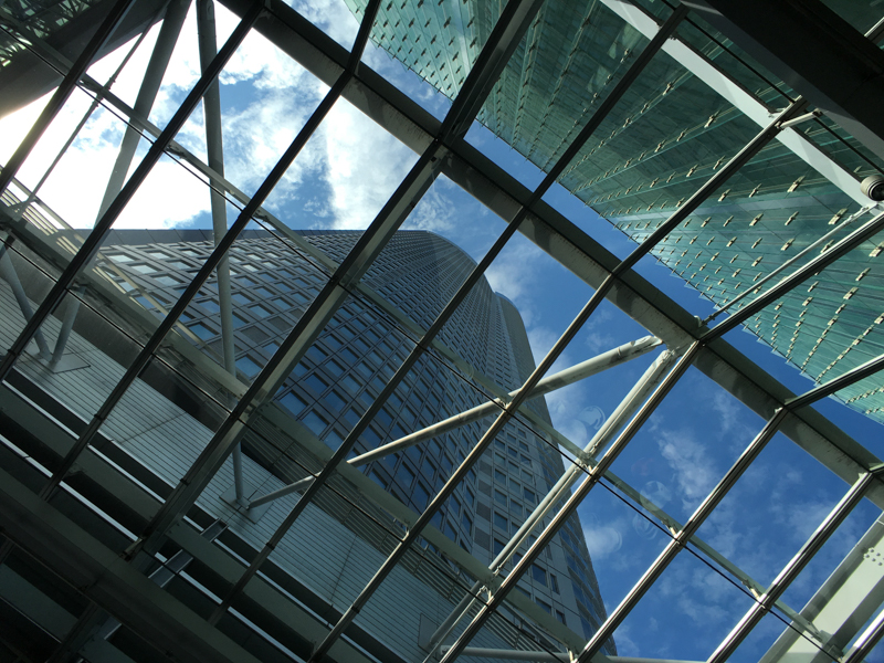 ExoLens ZEISS Wide装着