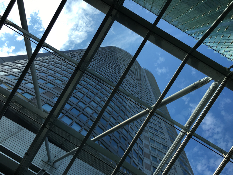 ExoLens ZEISS Wide非装着