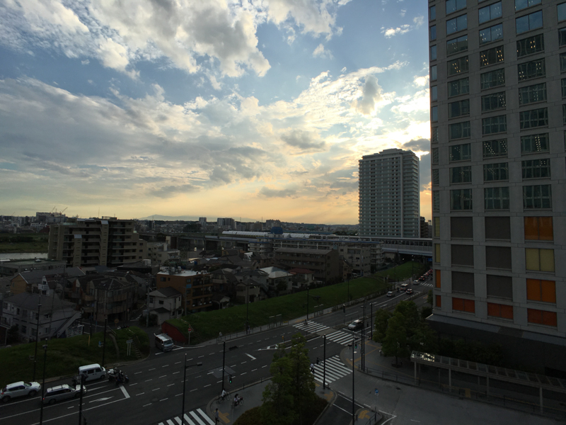 ExoLens ZEISS Wide装着