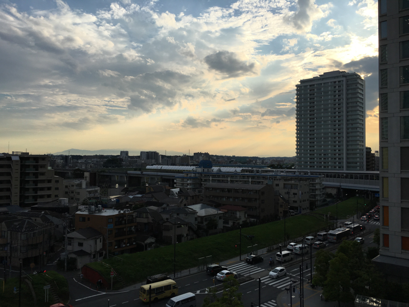 ExoLens ZEISS Wide非装着