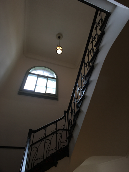 ExoLens ZEISS Wide装着