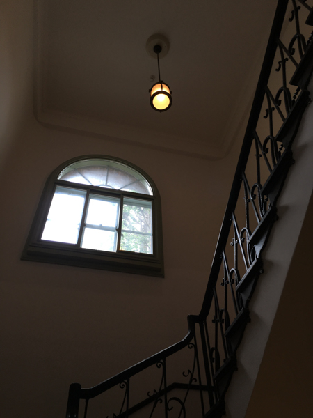 ExoLens ZEISS Wide非装着