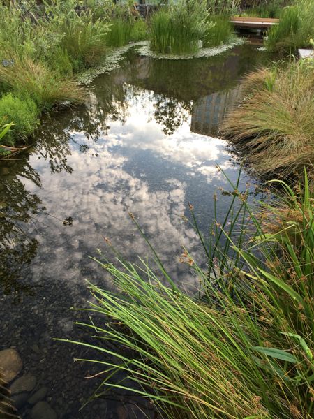 iPhone 6s Plus / ExoLens ZEISS Wide装着 / 1/120秒 / F2.2 / ±0EV / ISO40 / 18mm相当