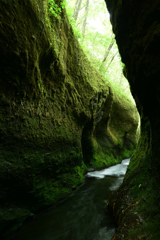 通常撮影：ニコンD810／AF-S NIKKOR 16-35mm f/4G ED VR／16mm／絞り優先AE（F11、2.5秒、－1.0EV）／ISO 100／WB：太陽光（B1)