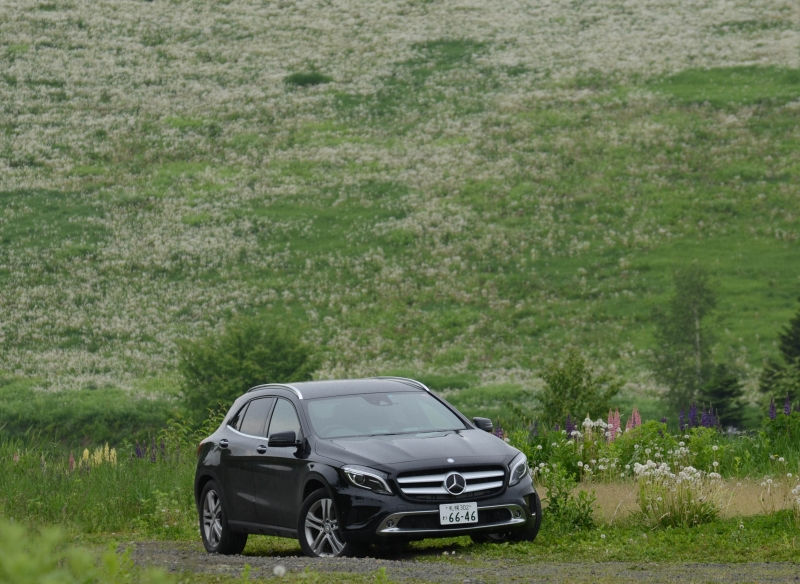 ニコンD810／AF-S NIKKOR 70-200mm f/2.8G ED VR II／140mm／絞り優先AE（F2.8、1/200秒）／ISO 100／WB：太陽光（B1)／C-PLフィルター