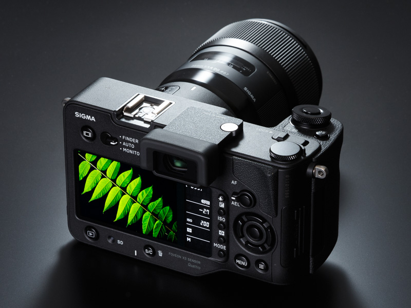 メインモニターに画像を再生した状態。動体の表示は苦手だが、静止した被写体の表示や再生モード時の視認性は問題ない。自動/手動による明るさ調整も可能だ。タッチパネルや可動機構には非対応となる