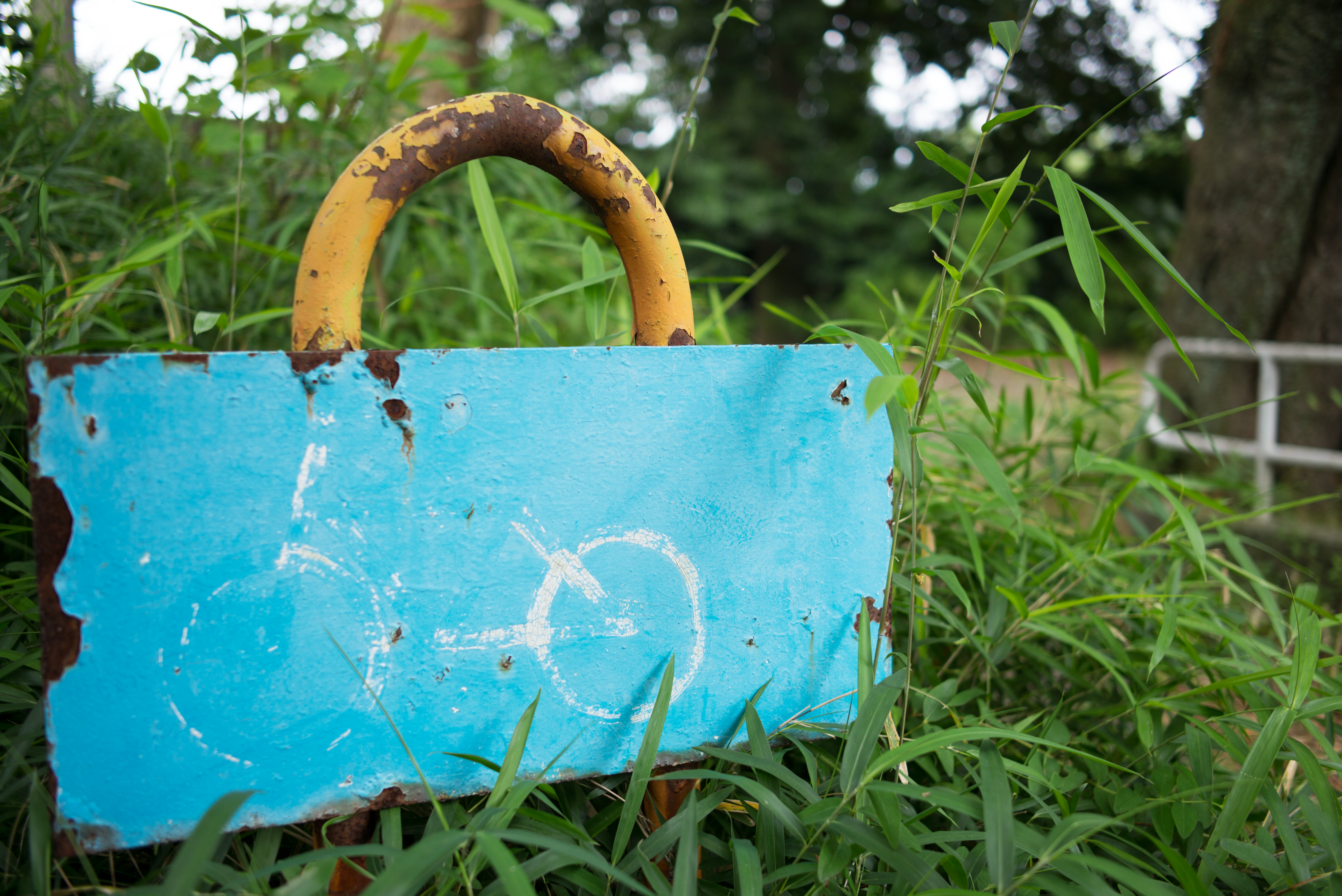 最短撮影距離は80cmまで。ボケ味はそれほど煩雑ではなくきわめて自然なアウトフォーカスグラデーション。LEICA M（Typ240）/ ISO200 / F2.4 / 1/125秒 / WB:オート