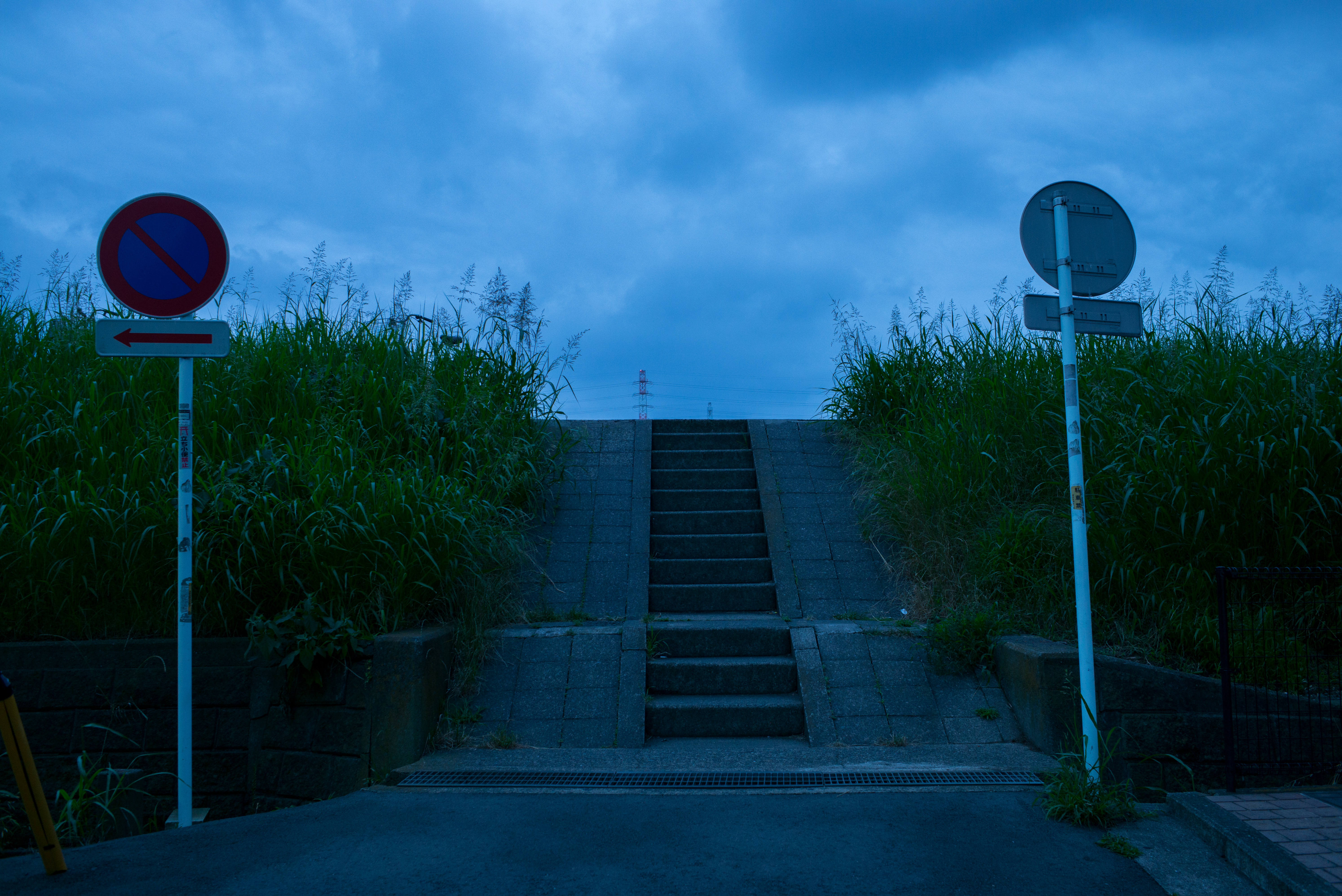 F5.6で撮影。絞り込んでいっても先鋭度やコントラストの変化は少ない。LEICA M（Typ240）/ ISO1000 / F5.6 / 1/30秒 / WB:4000K