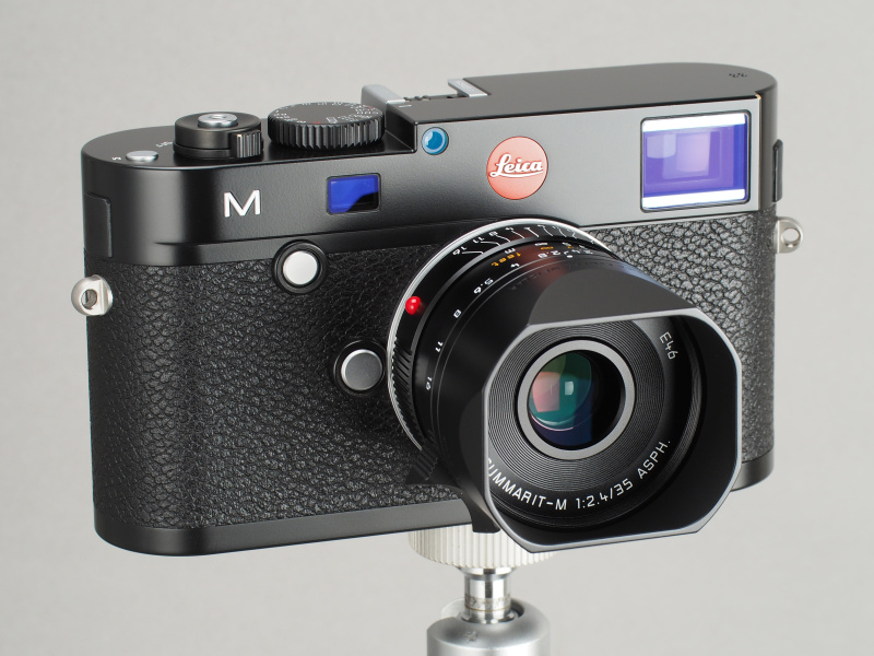 繊細というよりは明確で力強い線描写。LEICA M（Typ240）/ ISO200 / F8 / 1/750秒 / WB:オート