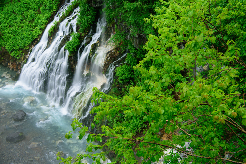 ニコンD810／AF-S NIKKOR 24-70mm f/2.8E ED VR／42mm／絞り優先AE（F11、1/3秒、-0.3EV）／ISO 100／WB：太陽光（B1）／C-PLフィルター