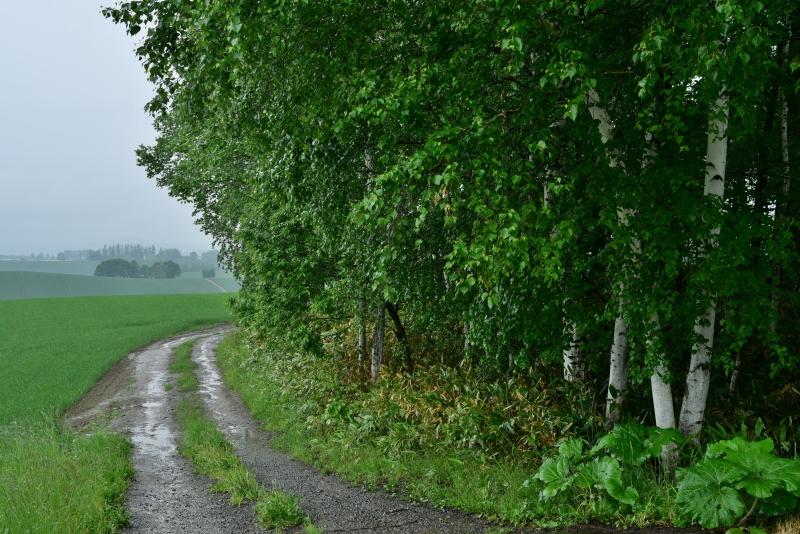 ニコンD810／AF-S NIKKOR 24-70mm f/2.8E ED VR／42mm／絞り優先AE（F11、1/3秒、-1.0EV）／ISO 100／WB：太陽光（B1）／HDR（2EV、弱め）