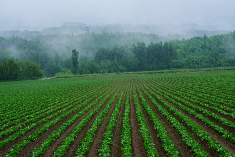 ニコンD810／AF-S NIKKOR 70-200mm f/2.8G ED VR II／140mm／絞り優先AE（F11、1/6秒、-0.3EV）／ISO 100／WB：太陽光（B1）／C-PLフィルター