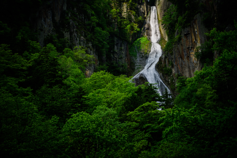 ニコンD810／AF-S NIKKOR 24-70mm f/2.8E ED VR／42mm／絞り優先AE（F2.8、1/160秒、-1.0EV）／ISO 100／WB：太陽光（B1）／C-PLフィルター