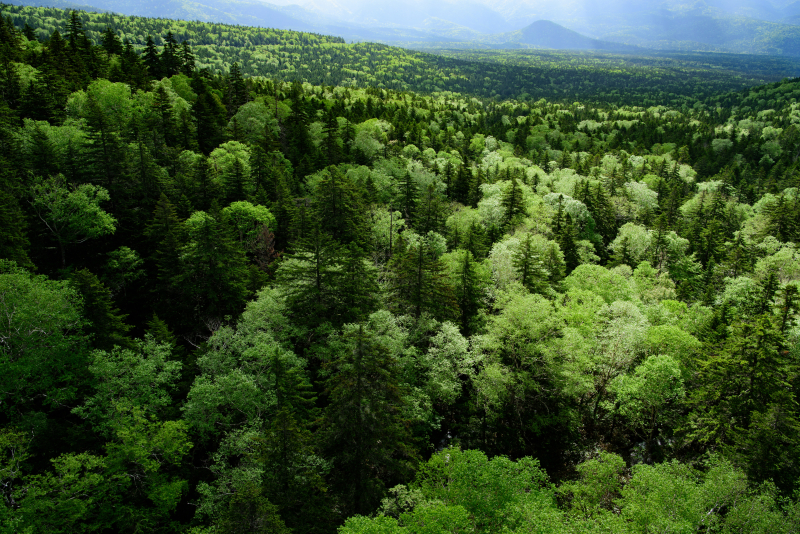 ニコンD810／AF-S NIKKOR 24-70mm f/2.8E ED VR／29mm／絞り優先AE（F8、1/60秒、-1.3EV）／ISO 100／WB：太陽光（B1）／C-PLフィルター