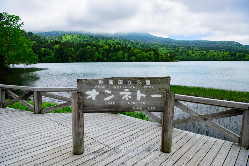 ニコンD810／AF-S NIKKOR 24-70mm f/2.8E ED VR／29mm／絞り優先AE（F8、1/60秒、-1.3EV）／ISO 100／WB：太陽光（B1）／C-PLフィルター