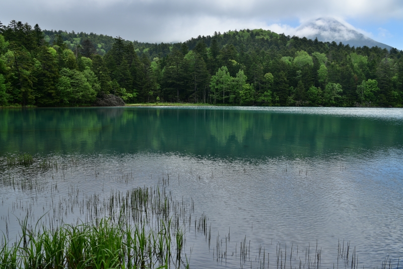 ニコンD810／AF-S NIKKOR 24-70mm f/2.8E ED VR／29mm／絞り優先AE（F11、1/50秒、-1.0EV）／ISO 100／WB：太陽光（B1）／HDR（2EV、弱め）／C-PLフィルター