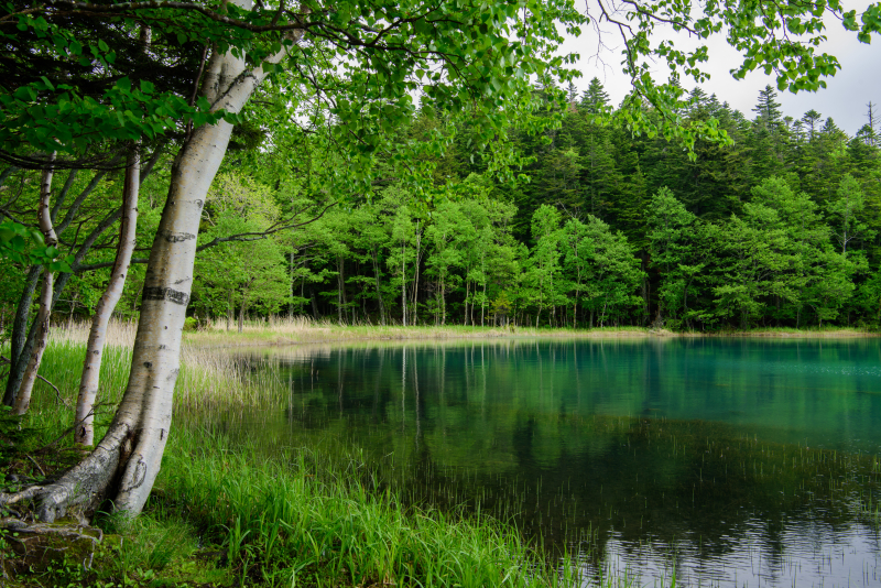 ニコンD810／AF-S NIKKOR 24-70mm f/2.8E ED VR／34mm／絞り優先AE（F11、1/15秒、-0.3EV）／ISO 100／WB：太陽光（B1）／C-PLフィルター