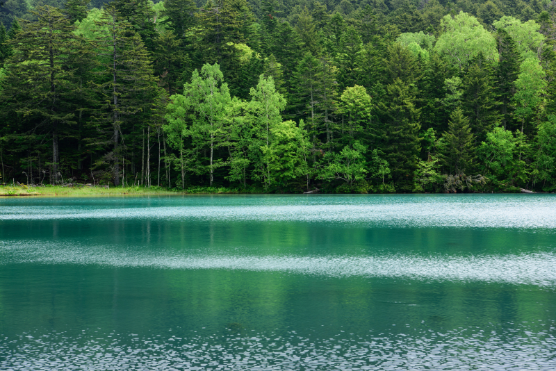 ニコンD810／AF-S NIKKOR 24-70mm f/2.8E ED VR／34mm／絞り優先AE（F11、1/15秒、-0.3EV）／ISO 100／WB：太陽光（B1）／C-PLフィルター