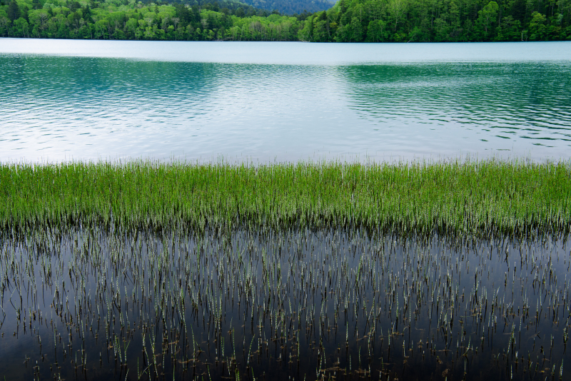 ニコンD810／AF-S NIKKOR 24-70mm f/2.8E ED VR／46mm／絞り優先AE（F11、1/50秒、-0.7EV）／ISO 200／WB：太陽光（B1）／C-PLフィルター