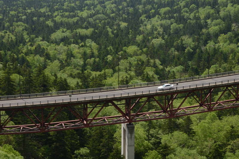 ニコンD810／AF-S NIKKOR 24-70mm f/2.8E ED VR／46mm／絞り優先AE（F11、1/50秒、-0.7EV）／ISO 200／WB：太陽光（B1）／C-PLフィルター