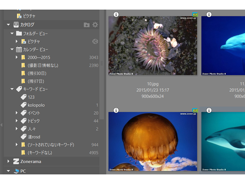 フォルダー、日付、キーワードごとに閲覧可能なカタログ