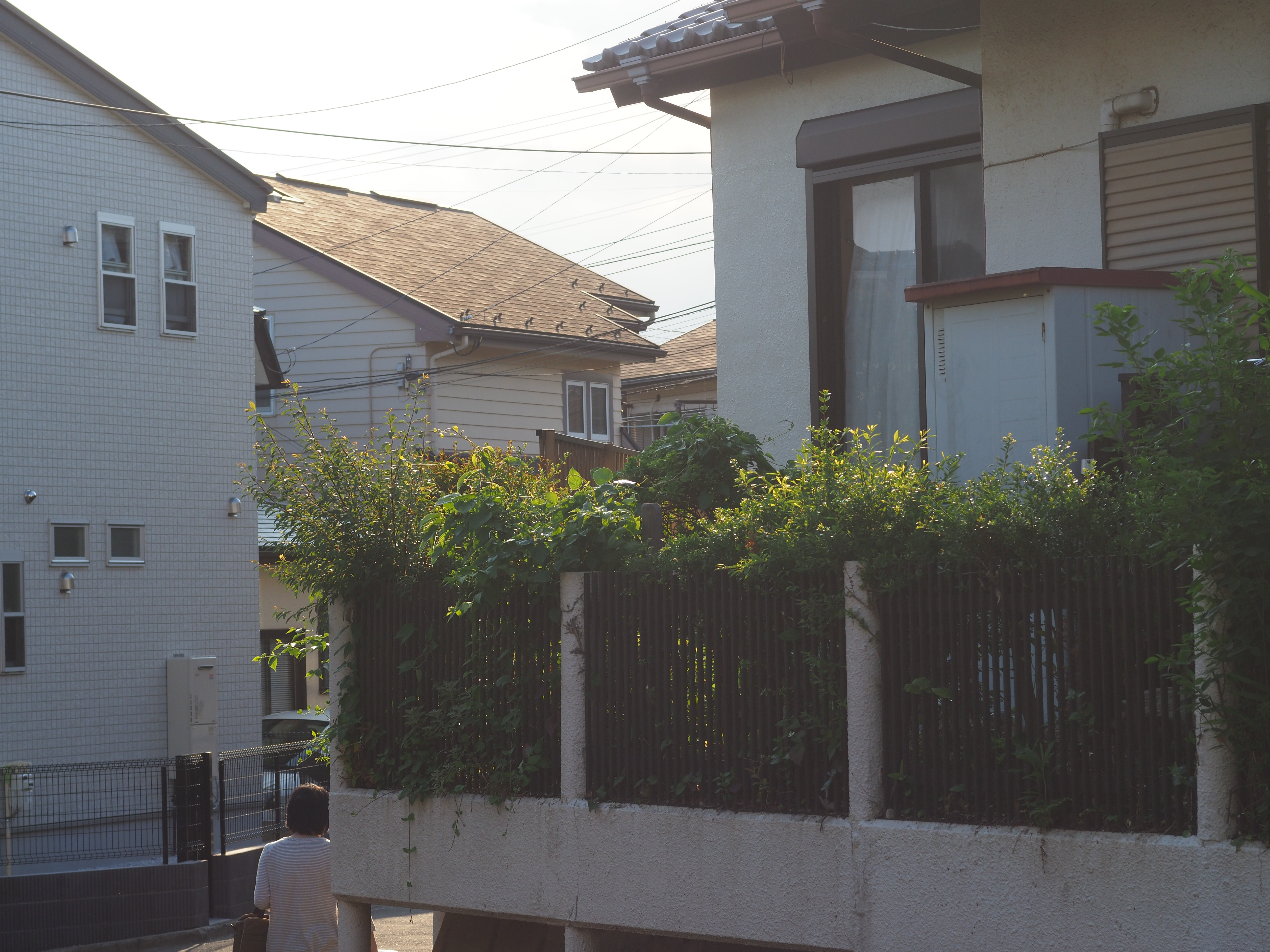 PEN-F / 1/250秒 / F8 / 0EV / ISO200 / 絞り優先AE / 55mm