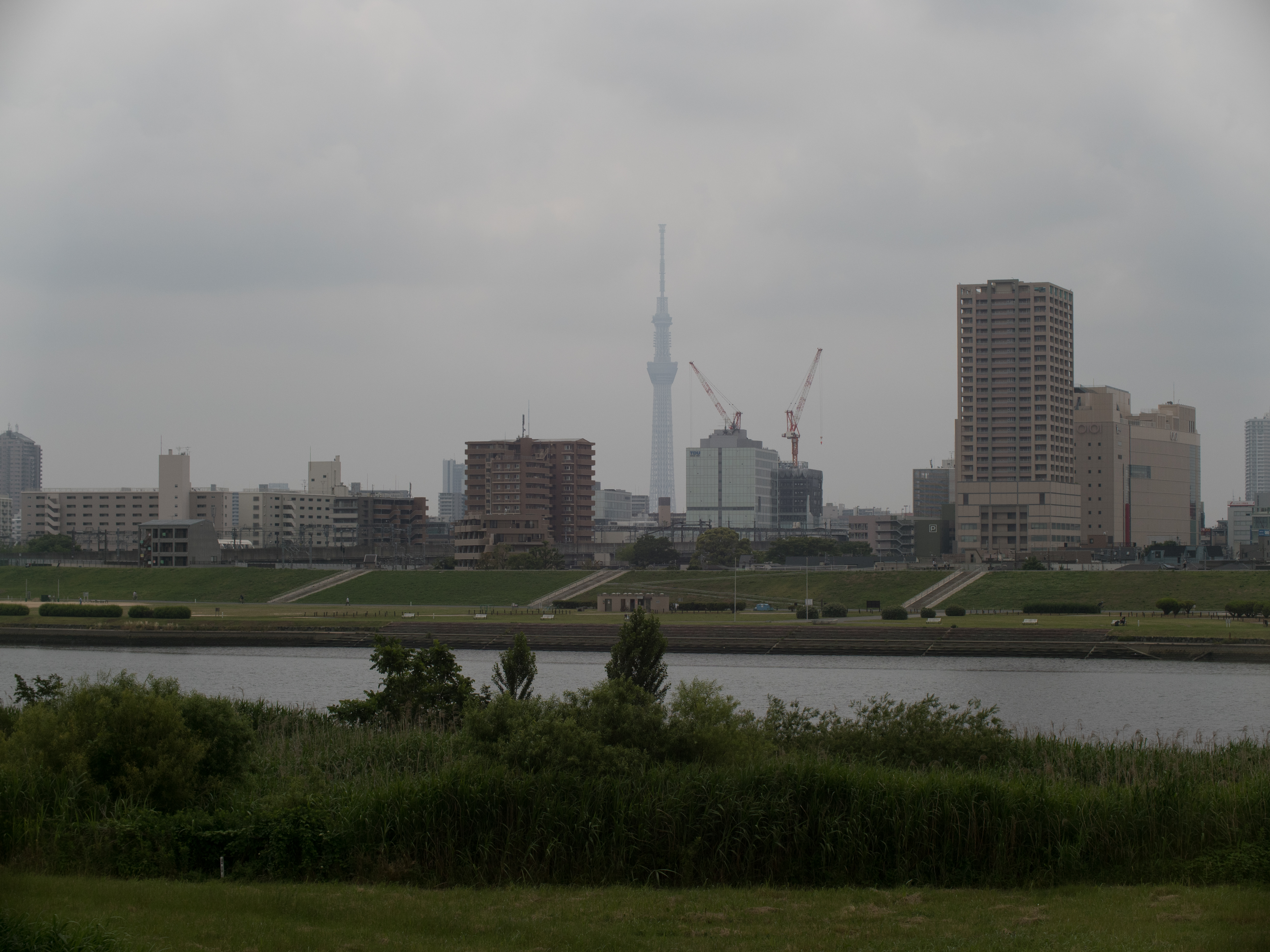 レンズターボII：PEN-F / FD 55mm F1.2 S.S.C. / Lens Turbo II / 1/2,000秒 / F8 / ±0EV / ISO200 / WB:オート