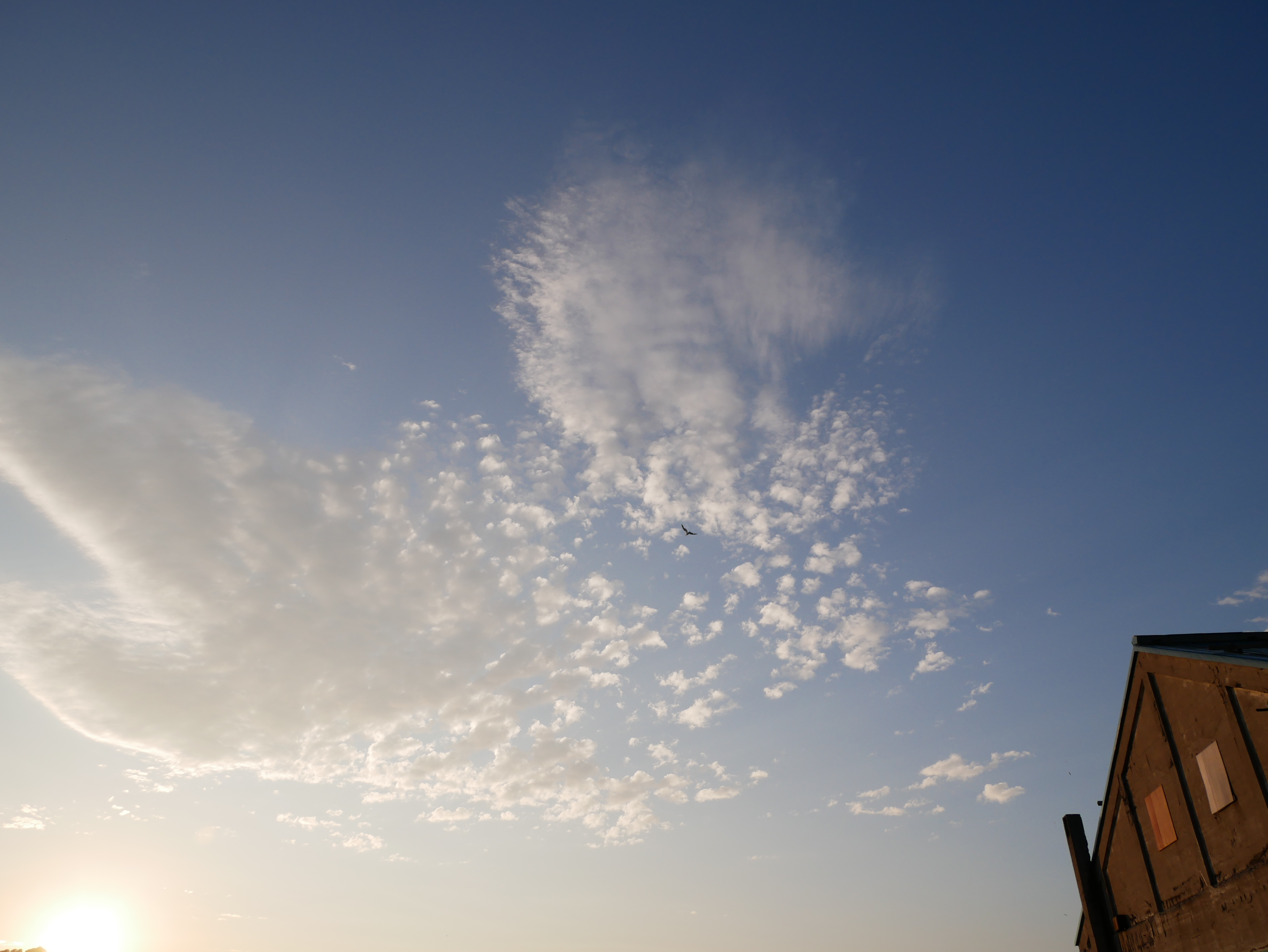 LUMIX GX7 Mark II / 1/500秒 / F8 / +0.7EV / ISO200 / 絞り優先AE / 12mm