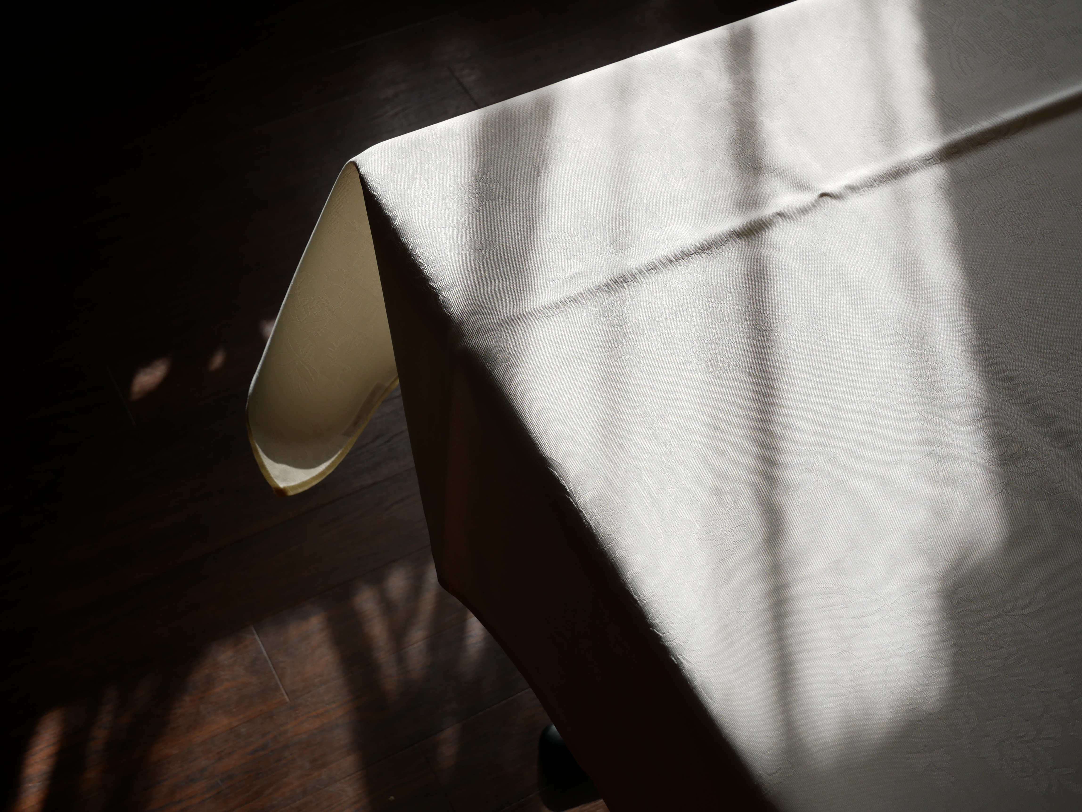 LUMIX GX7 Mark II / 1/250秒 / F5.6 / +0.7EV / ISO200 / 絞り優先AE / 22mm