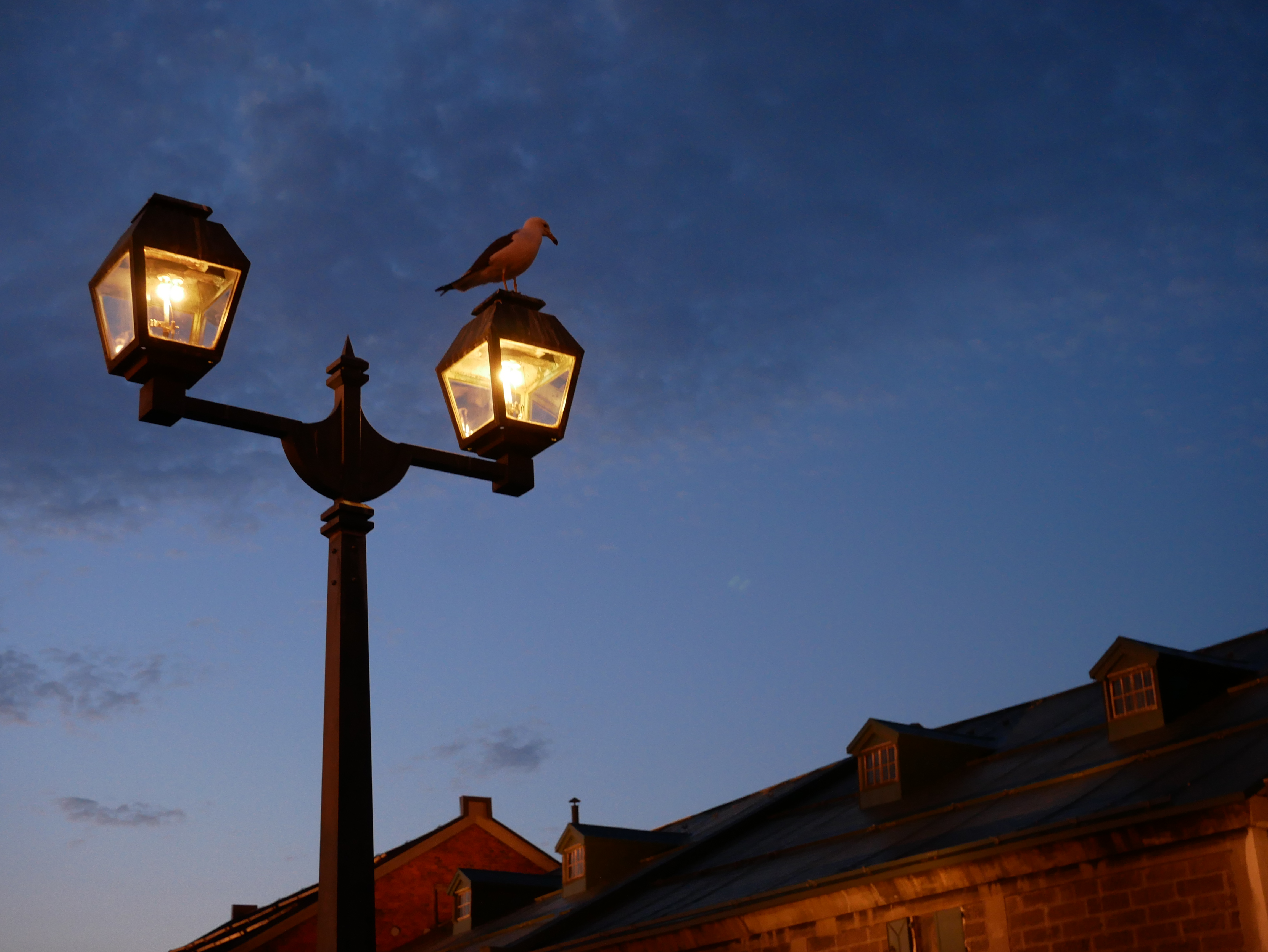 LUMIX GX7 Mark II / 1/6秒 / F5.6 / +0.7EV / ISO800 / Manual / 23mm