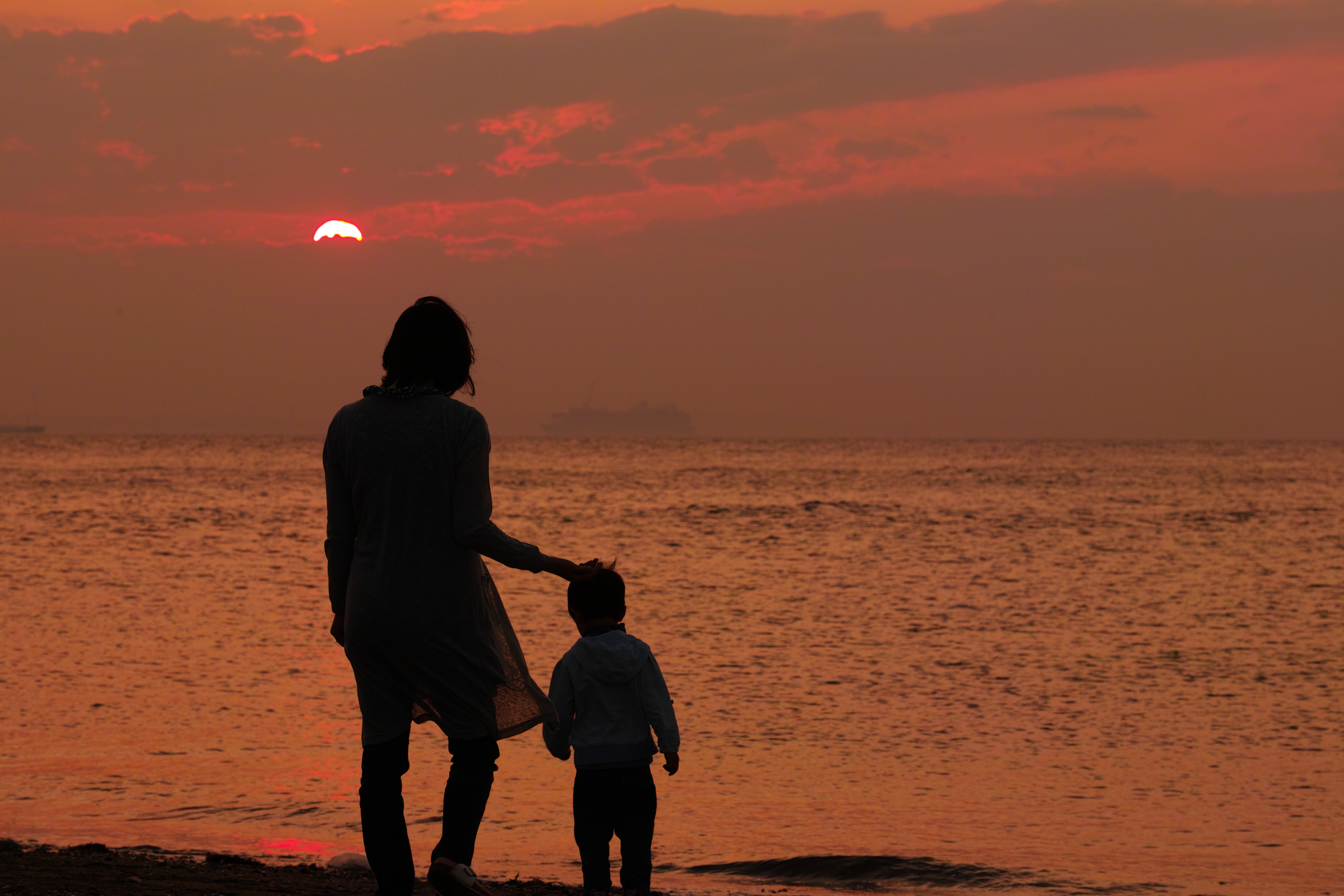 sd Quattro / 50-100mm F1.8 DC HSM / 87mm（130mm相当） / F8 / 1/200秒 / ISO100