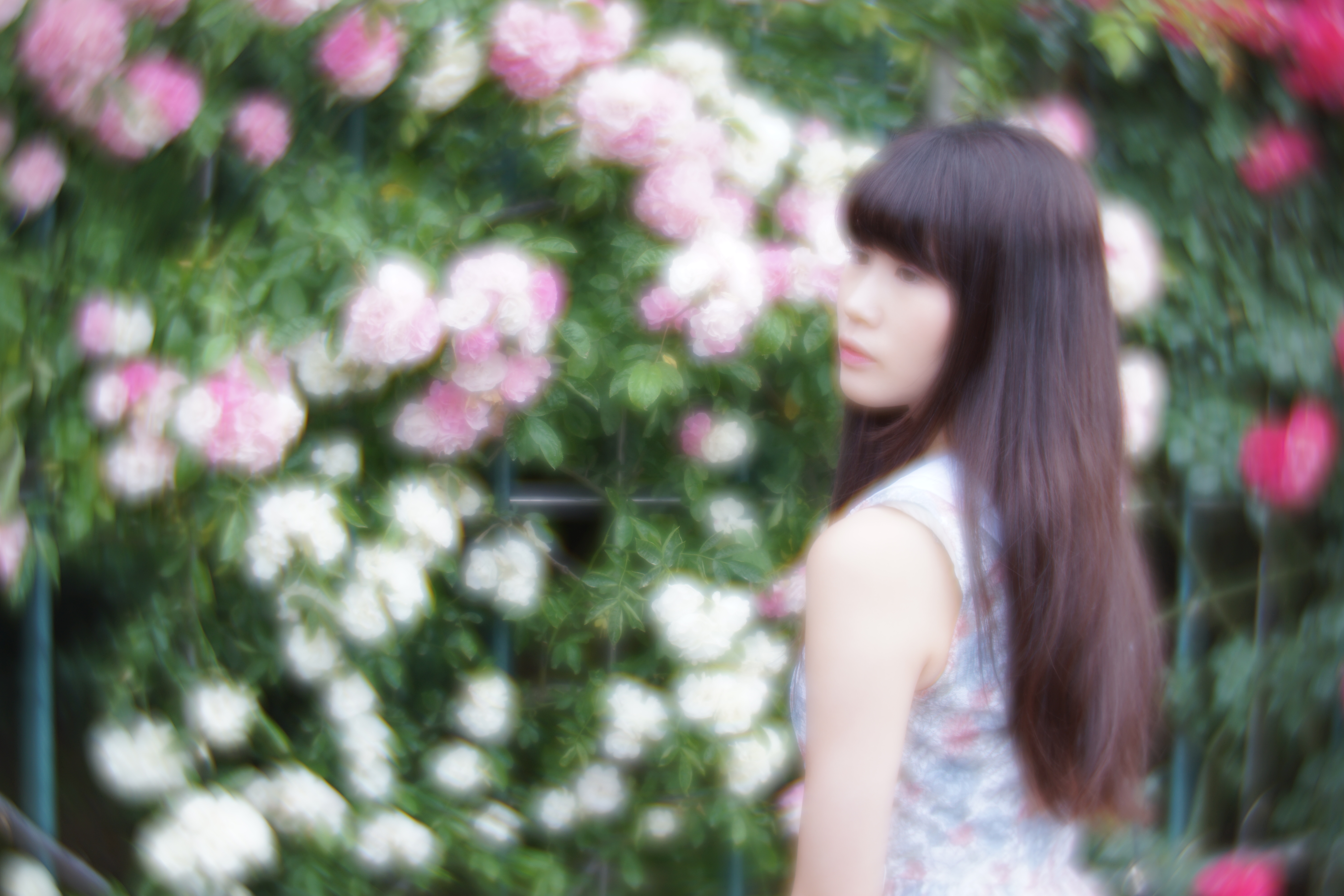 α7 II / Daguerreotype Achromat 2.9/64 Art Lens / 絞り優先AE / F2.9 / Standard絞り / 1/1,250秒 / +1EV / ISO100