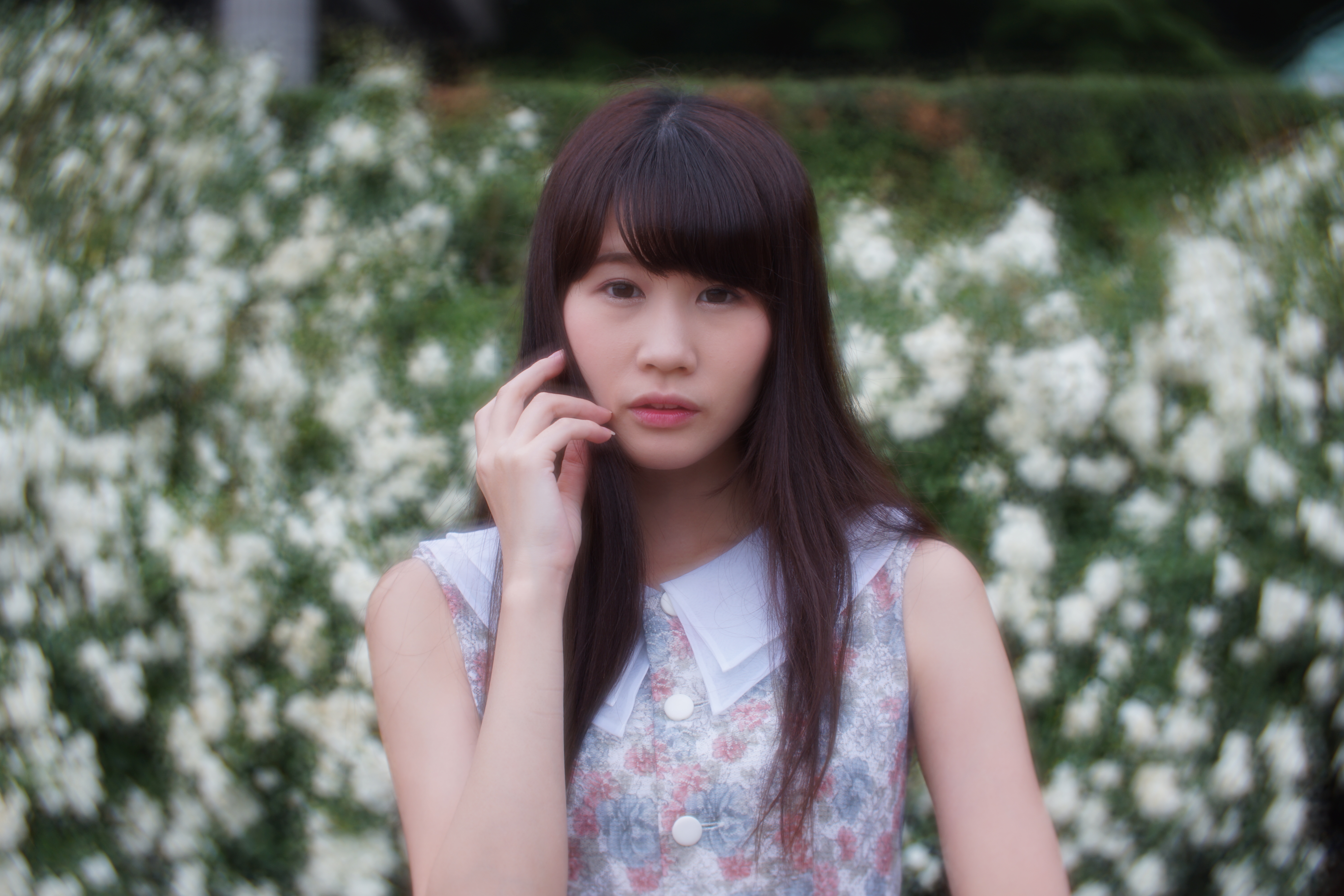 α7 II / Daguerreotype Achromat 2.9/64 Art Lens / 絞り優先AE / F4.5 / Lumière絞り / 1/320秒 / +0.3EV / ISO100