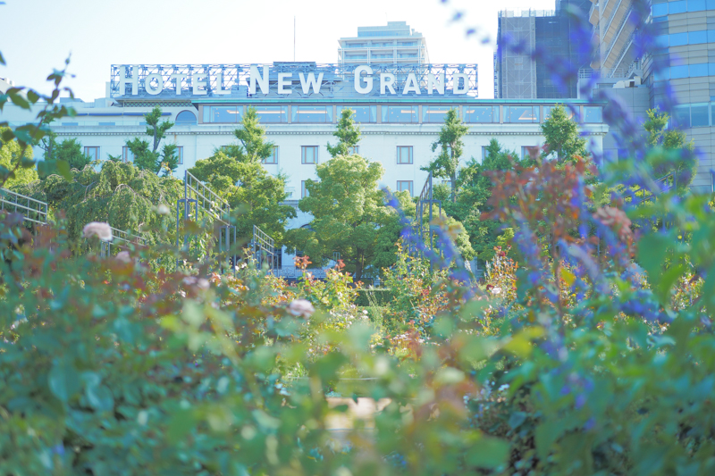 ふわっとしたブルーの空気感で草木越しに建物を撮ったら、絵本の中みたいになるかも！　と思って撮影した1枚。不思議な色と前ボケで想像以上の仕上がりになった。<br><span class="fnt-85">オリンパス PEN-F / M.ZUIKO DIGITAL 25mm F1.8 / 25mm（50mm相当） / 絞り優先AE（F1.8、1/1,250秒、+1.3EV） / ISO 200</span>