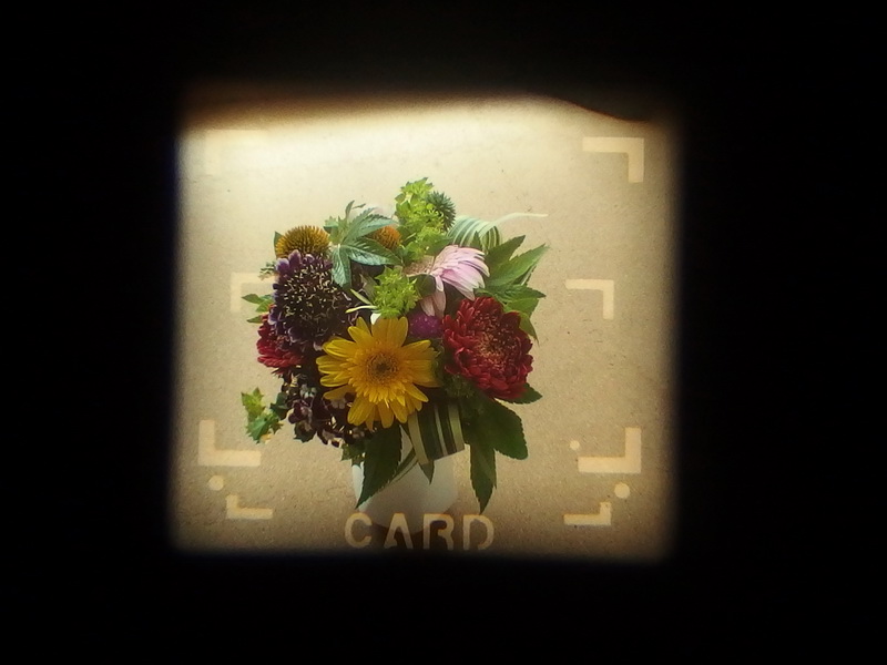 PowerShot 600の光学式ファインダーを覗いたところ。ブライトフレームを備えるなど結構本格的だけど、肝心の見え具合は今となっては厳しい。