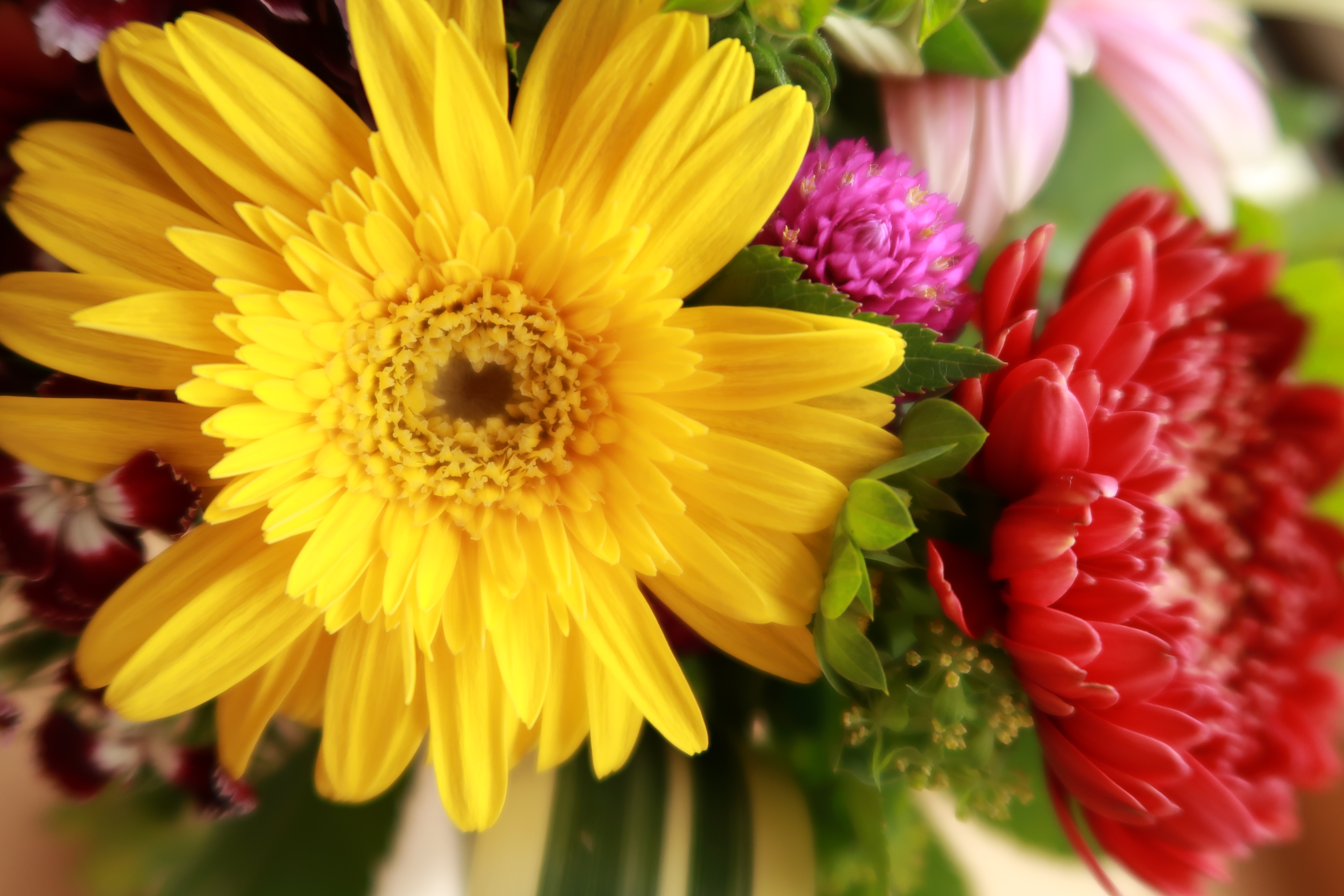 PowerShot G7 X Mark II / 5,472×3,648 / 1/50秒 / F2.2 / ISO125