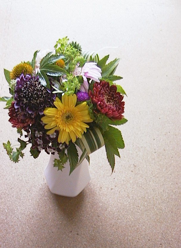 PowerShot 600 / 832×608