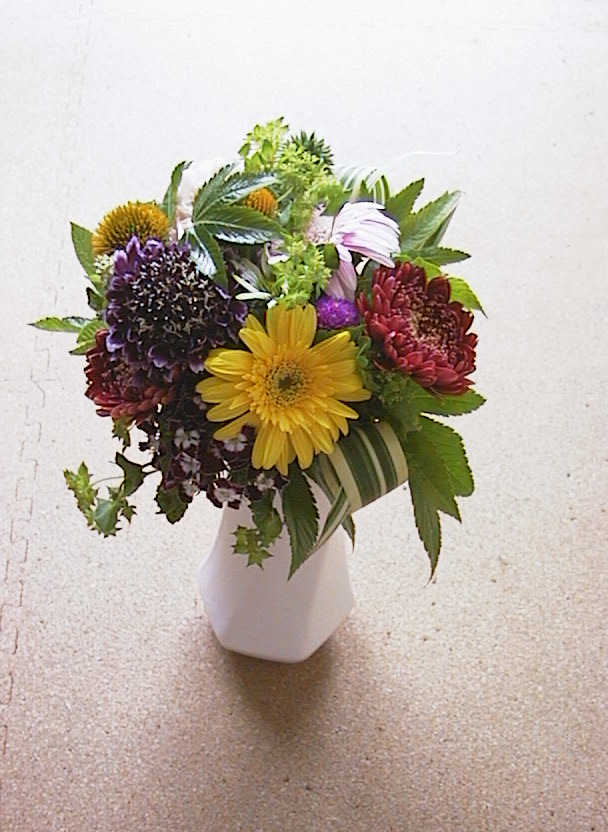 PowerShot 600 / 832×608